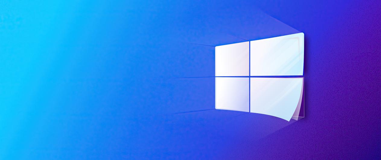 The Professionals Windows: Technology Next? Of