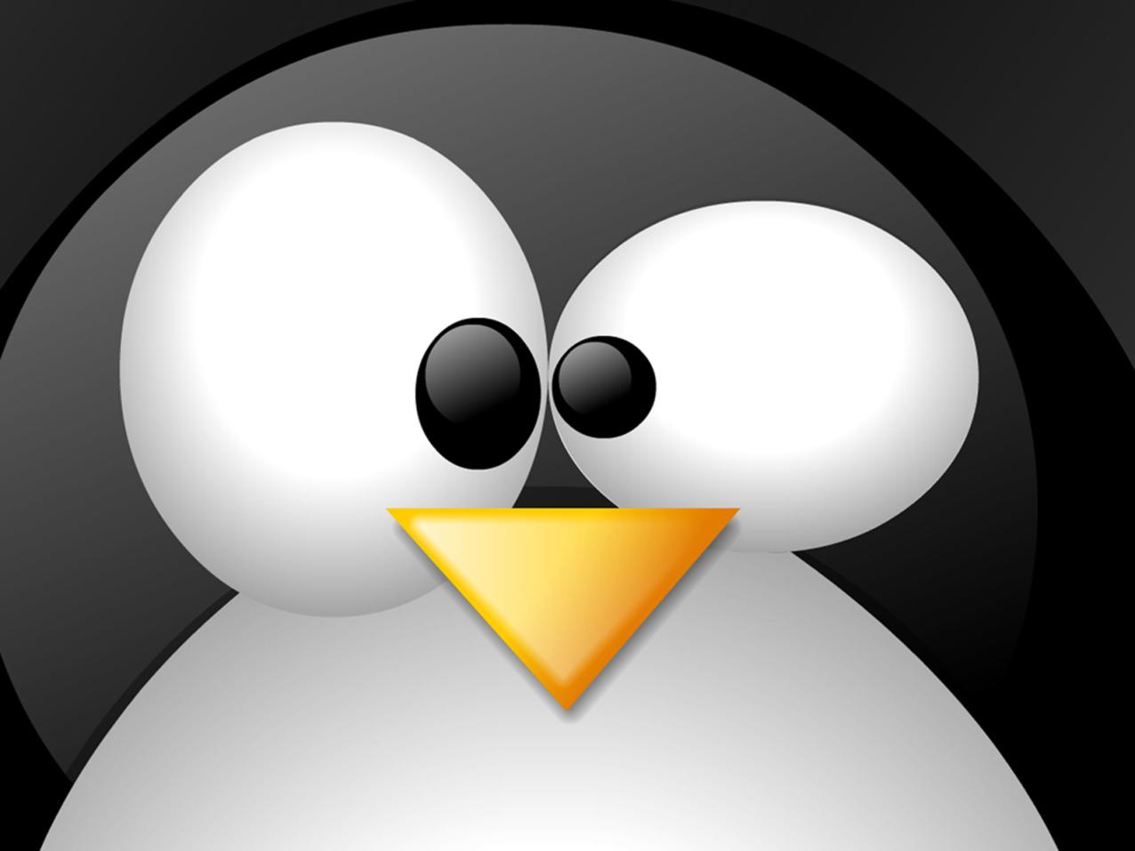 Linux 中管理文件和目录的一些基本命令是什么？