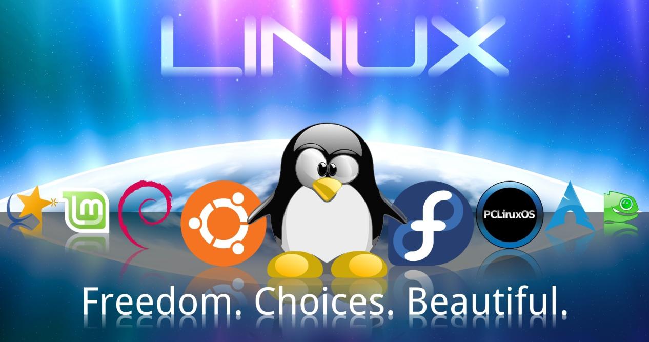 行 Linux？我如何