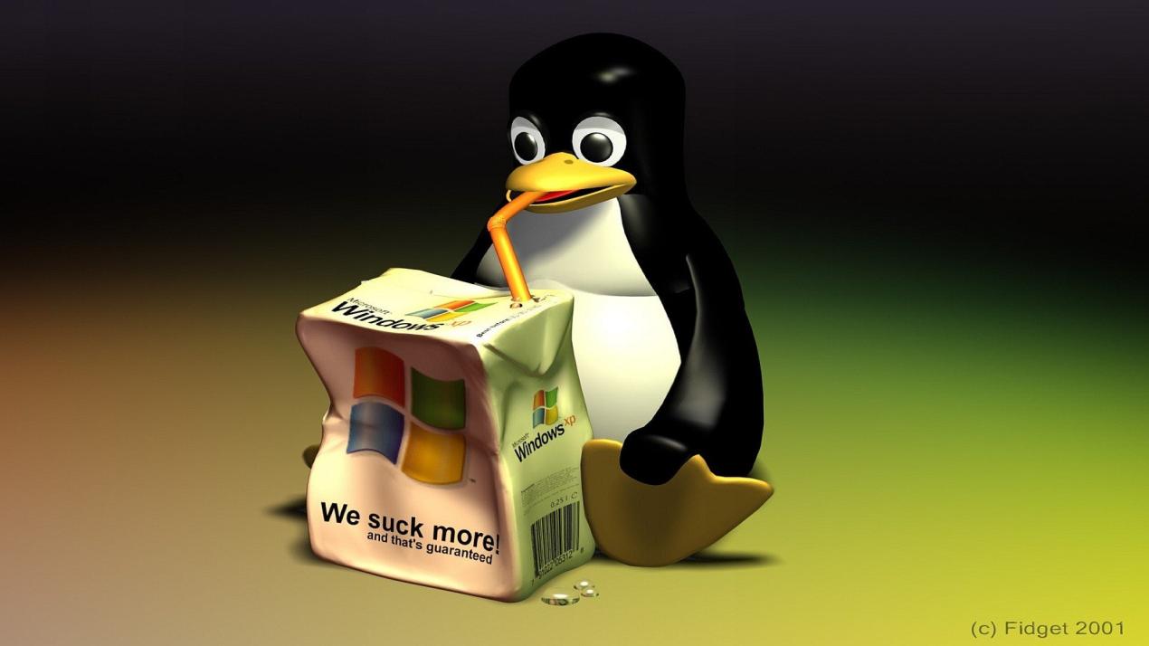 Automazione delle attività con la riga di comando Linux: liberare la potenza degli script