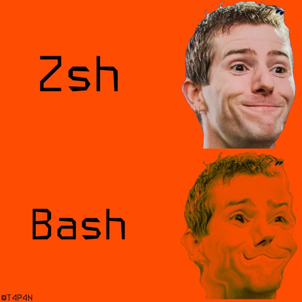 What Are the Key Differences Between Zsh and Bash?